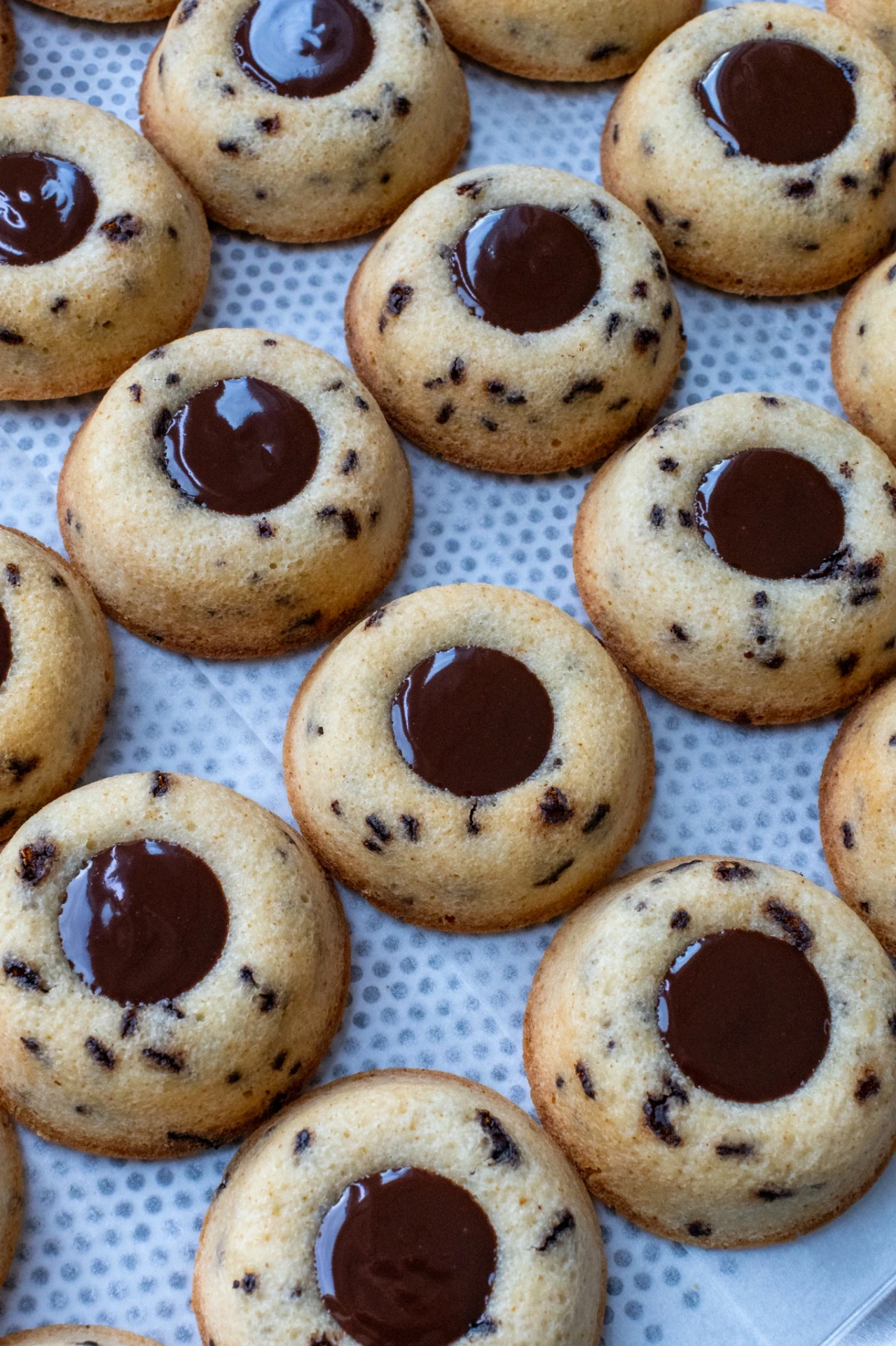 Financiers Tigrés